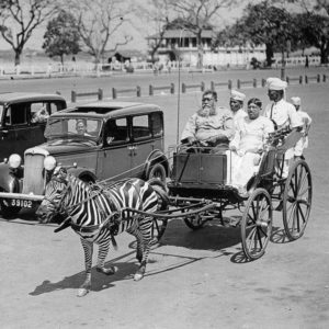 Wiener Museum Calcutta Carriage