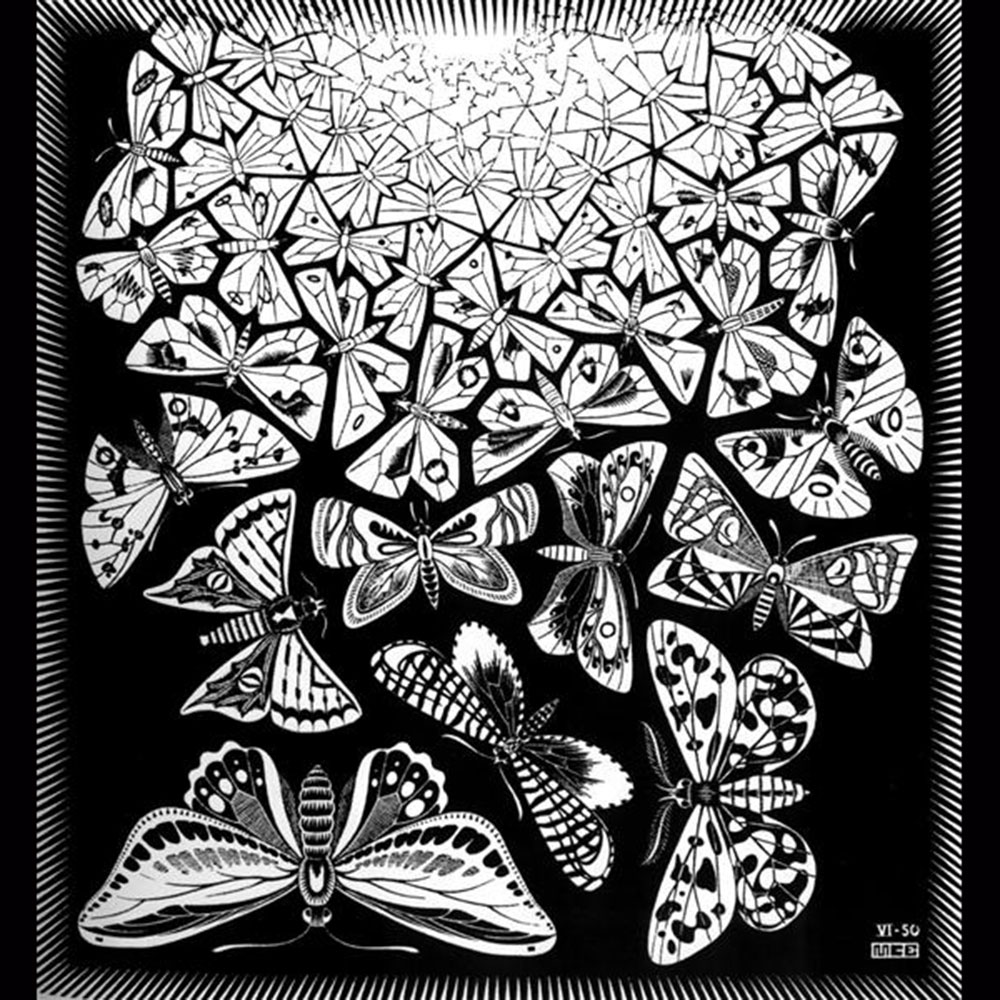 Escher butterflies wmoda wiener museum