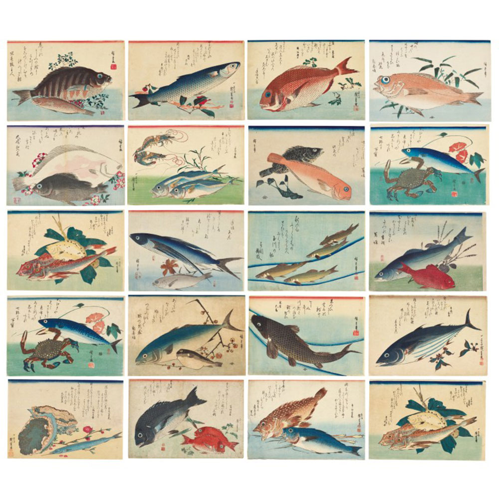 Gyotaku, the Japanese Art of Fishing – WMODA