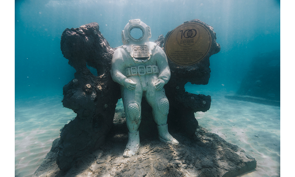 Diver Selfie Suit in Hollywood Reef