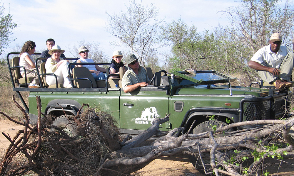 On Safari with the Moorcroft Team