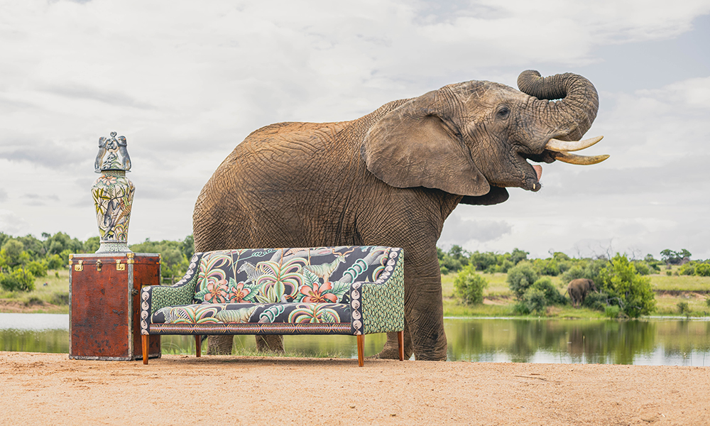 Ardmore Thanda Sofa Adventures with Elephants
