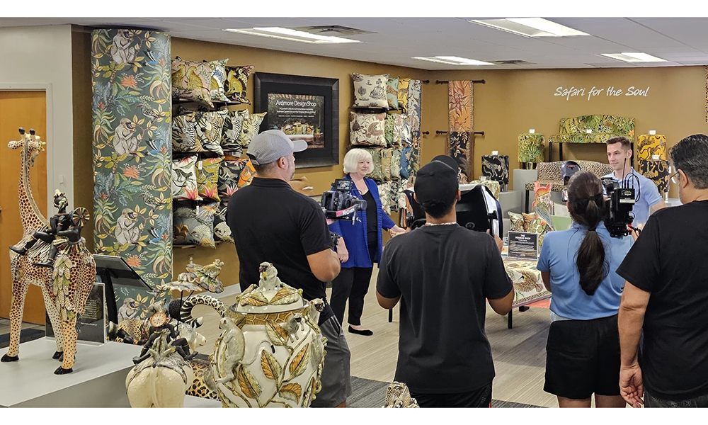 Filming in the Safari for-the Soul gallery