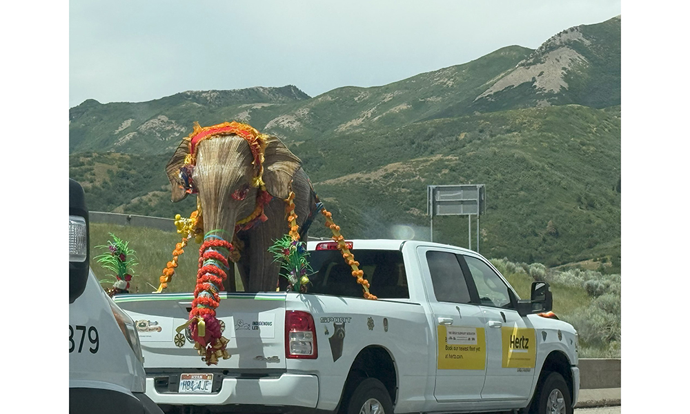 Great Elephant MIgration on route to California