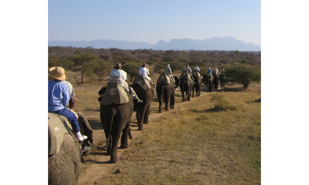 Louise on Elephant Back Safari