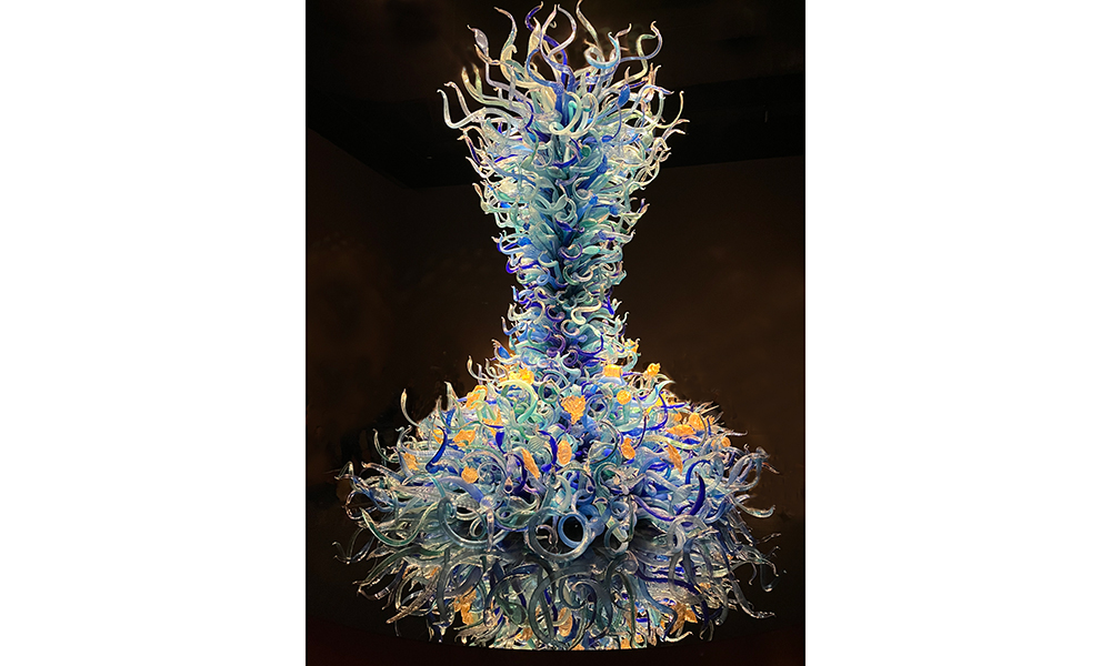 Sealife Power Chihuly Garden & Glasshouse
