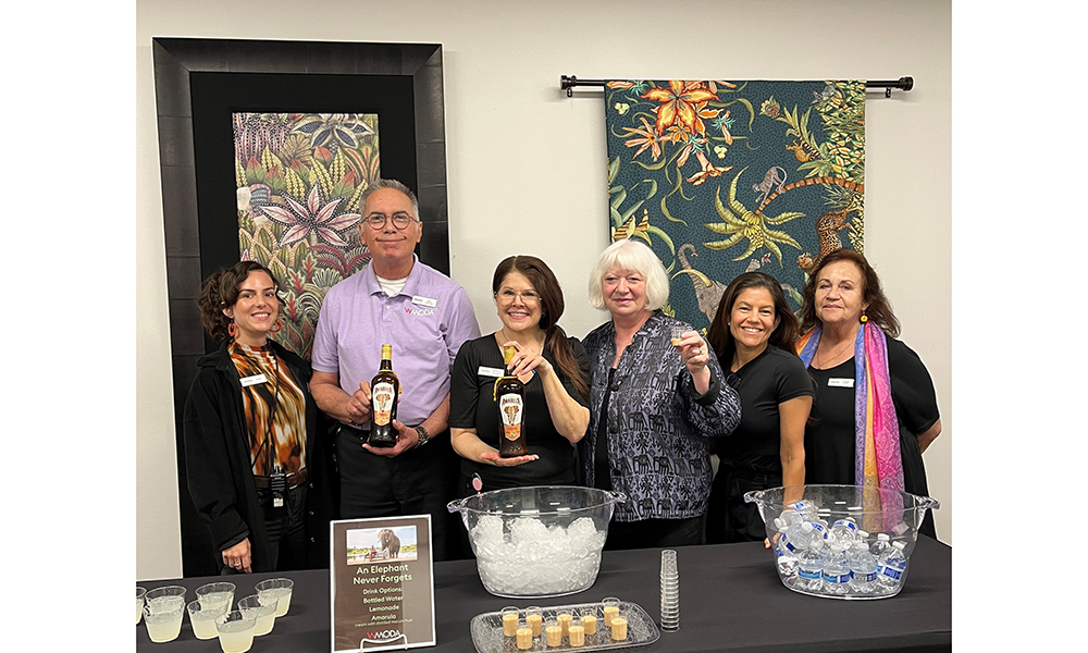 WMODA Team Celebrating Elephants