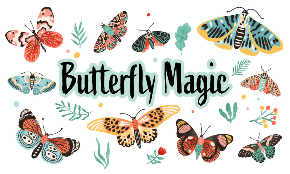 Butterfly Magic Interactive Experience