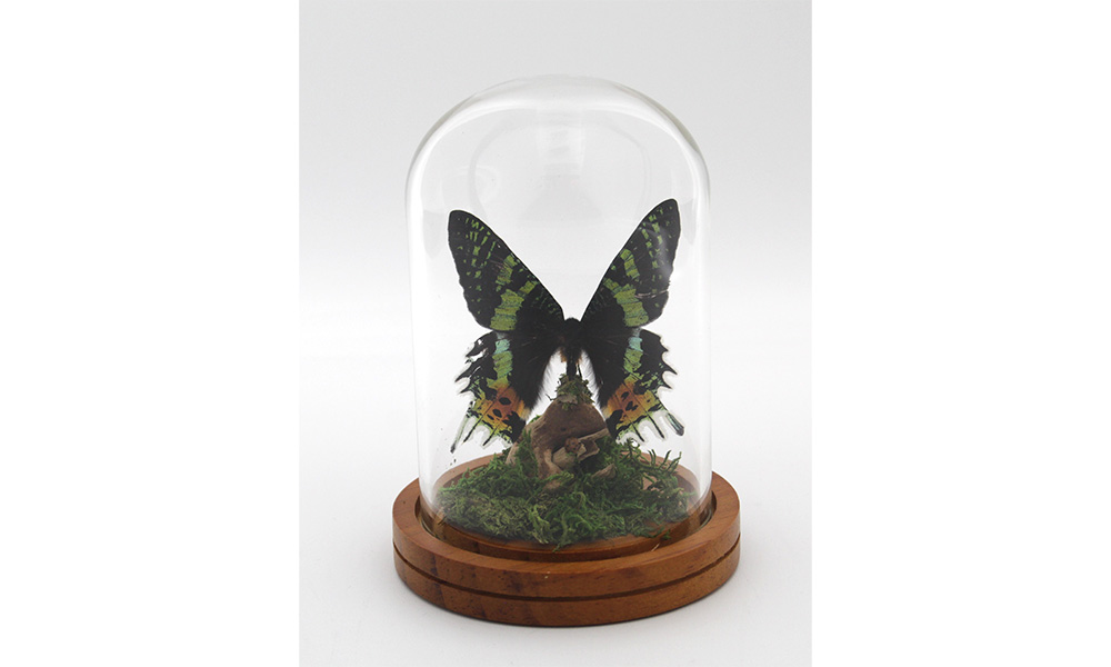 Sunset Moth Dome by Kiki Sylvain